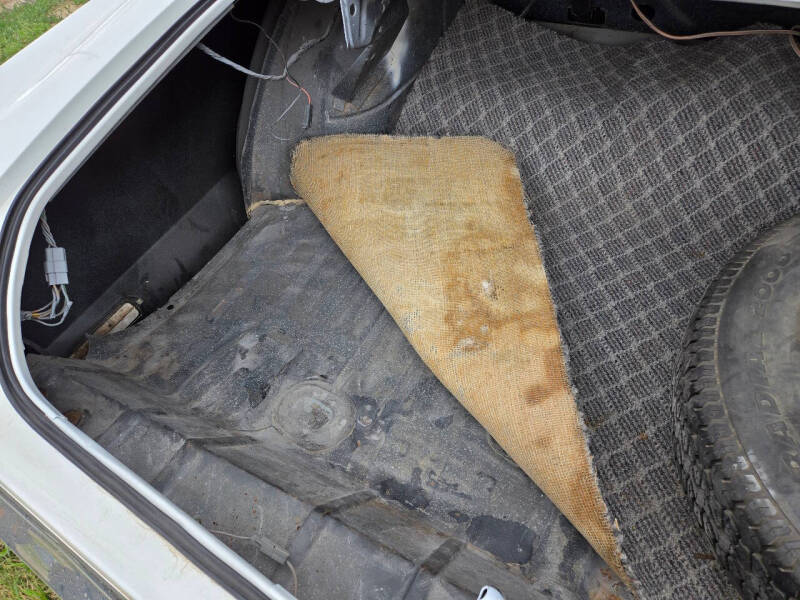 Car Trunk with original carpet